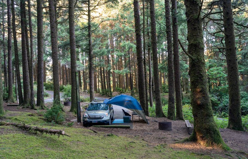 Carl G. Washburne Memorial State Park, Oregon, USA